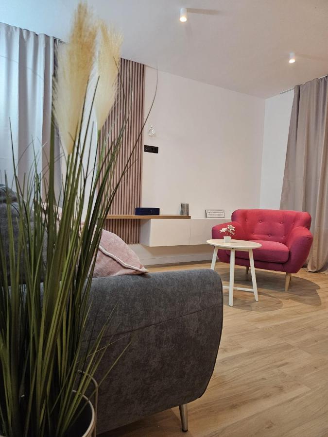 Villa Lux Apartments 罗戈兹尼察 外观 照片